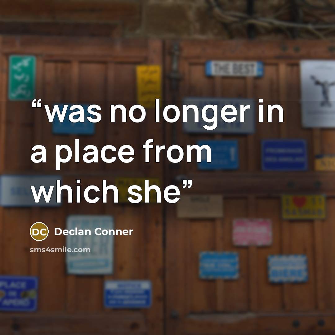“was no longer in a place from which she” quote by Declan Conner