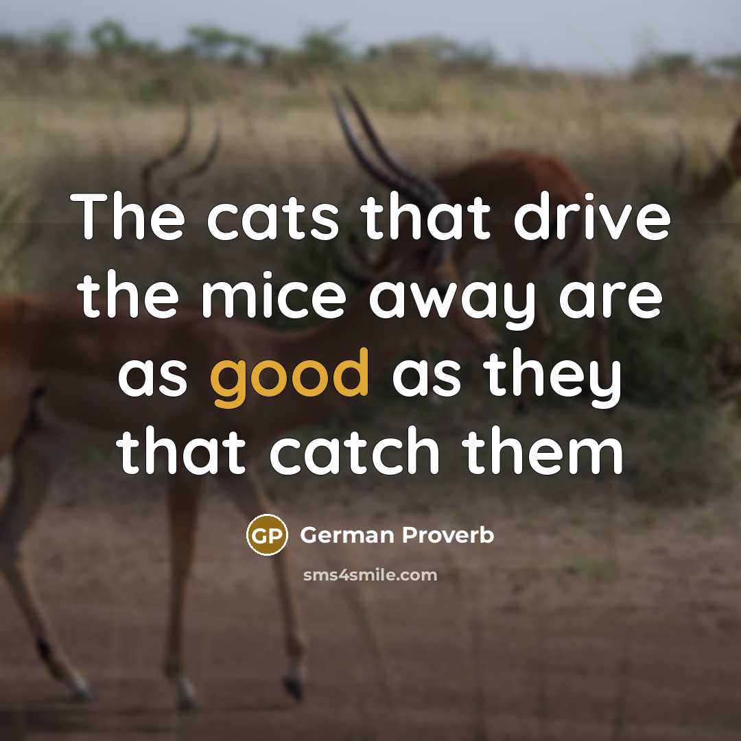 “The cats that drive the mice away are as good…” quote by German Proverb