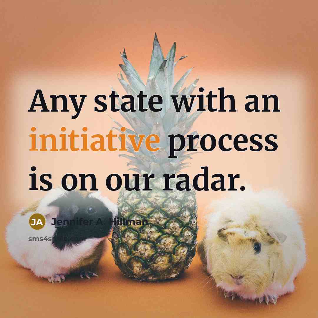 “Any state with an initiative process is on our radar.” quote by Jennifer A. Hillman