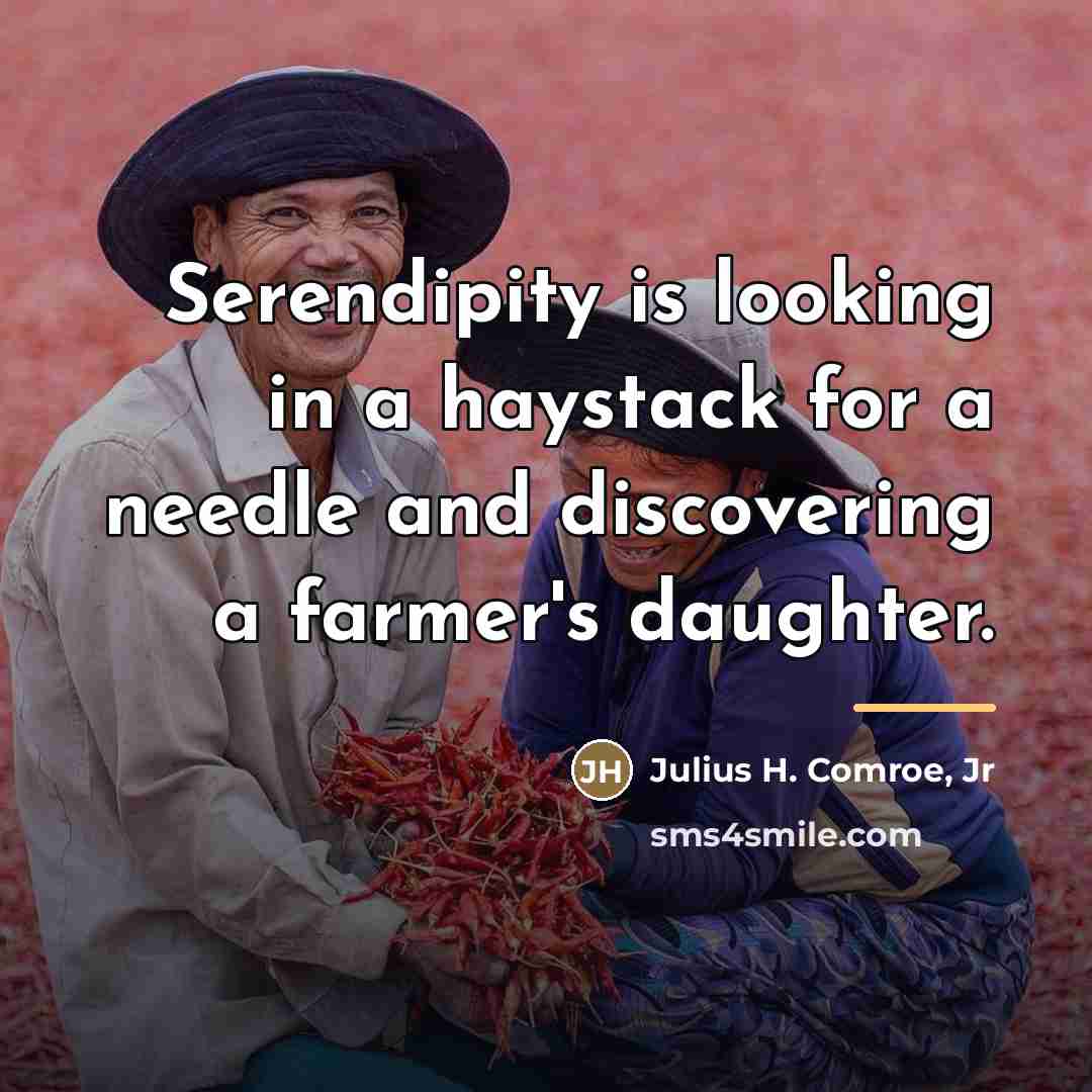 “Serendipity is looking in a haystack for a needle and…” quote by Julius H. Comroe, Jr