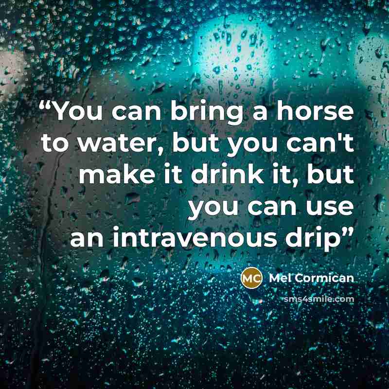 “You can bring a horse to water, but you can't make it drink it, but you can use an intravenous drip” quote by Mel Cormican