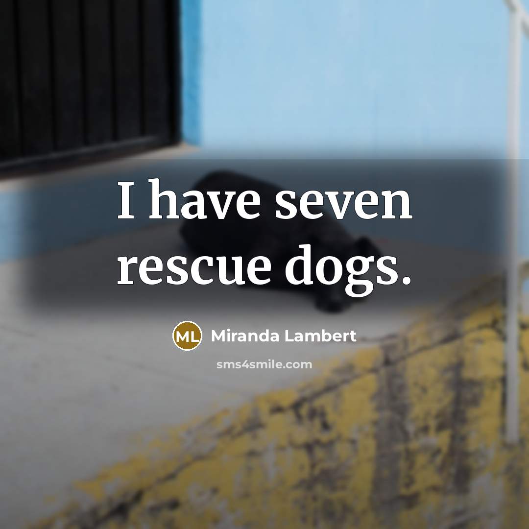 “I have seven rescue dogs.…” quote by Miranda Lambert