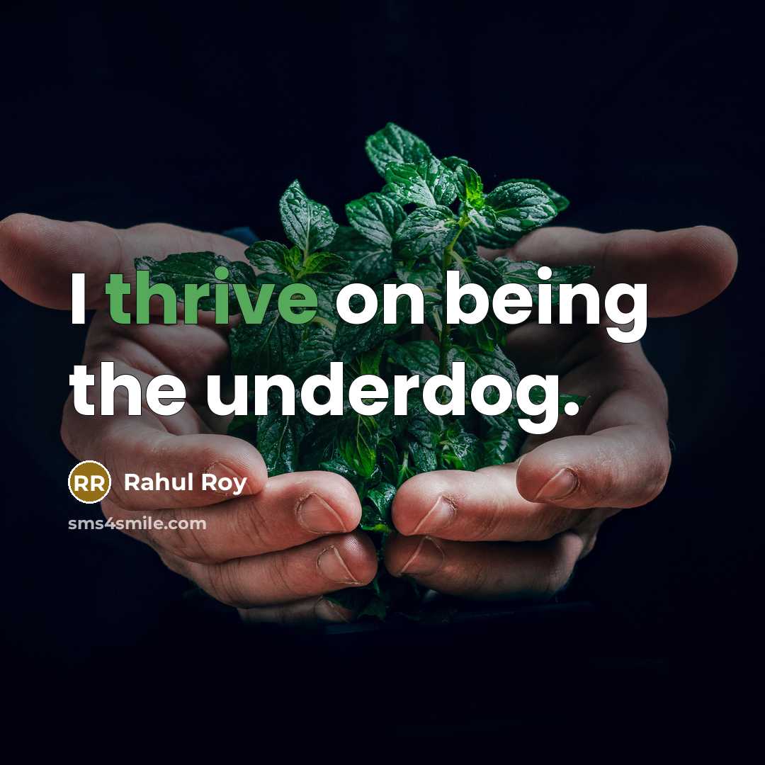 “I thrive on being the underdog.…” quote by Rahul Roy