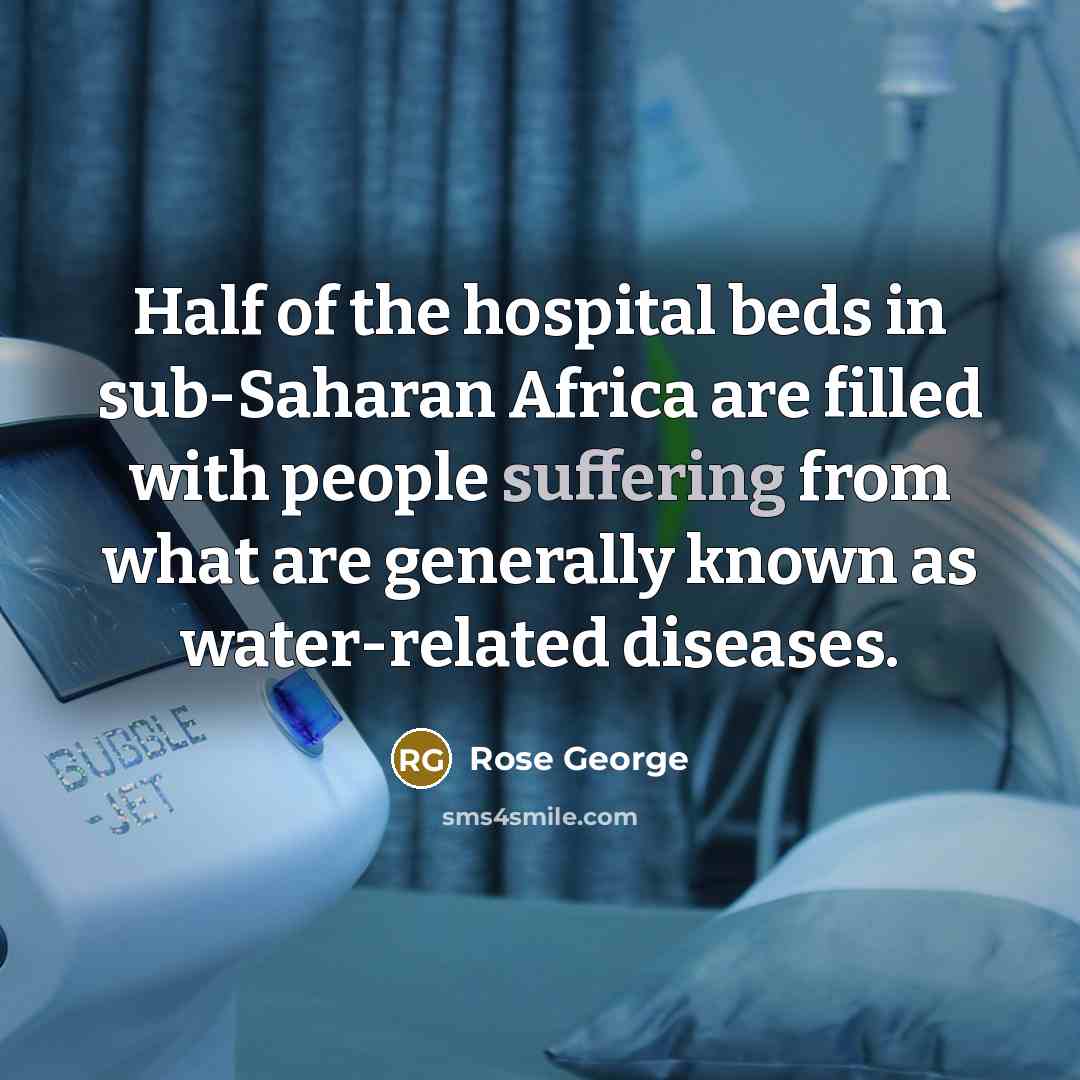 “Half of the hospital beds in sub-Saharan Africa are filled…” quote by Rose George
