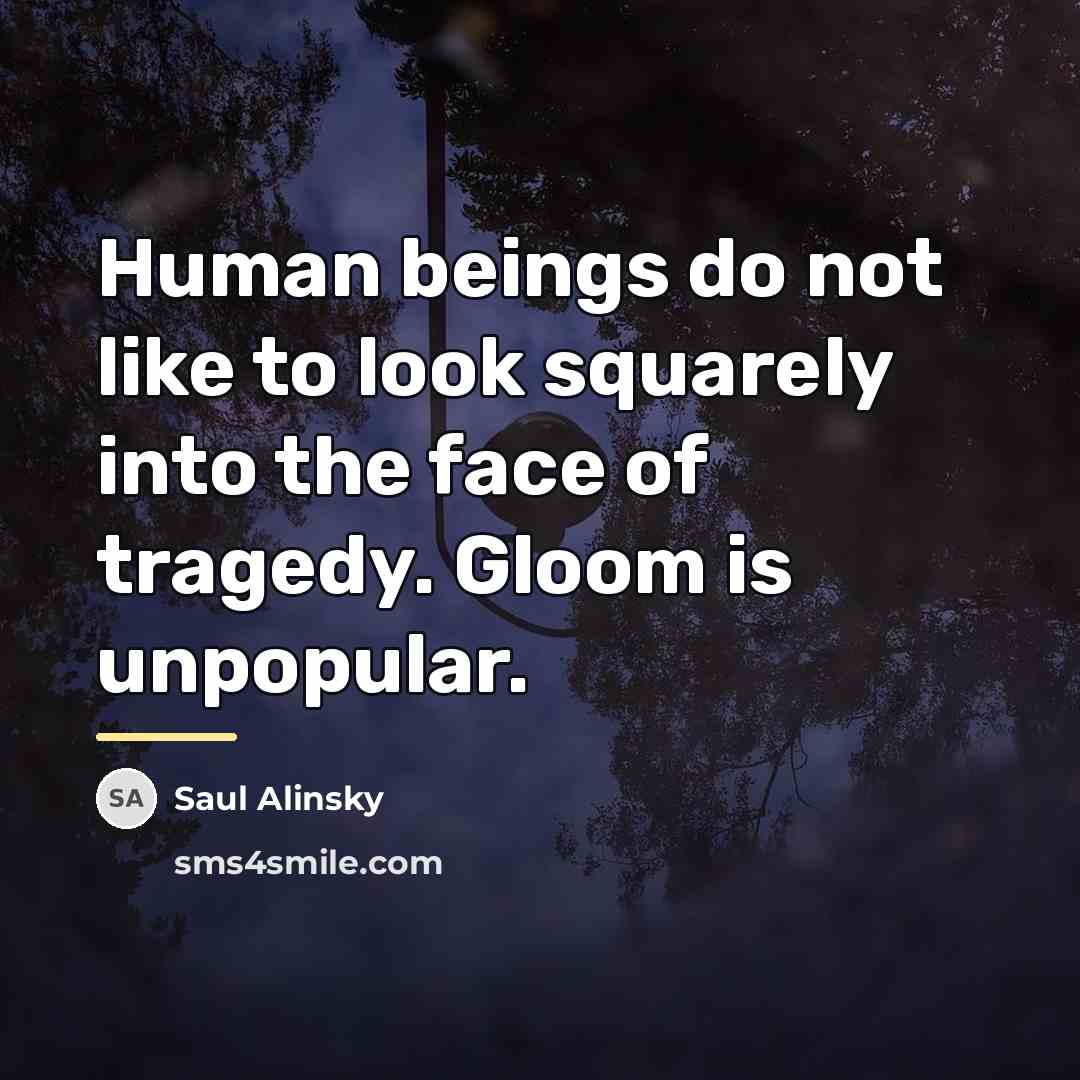 “Human beings do not like to look squarely into the…” quote by Saul Alinsky