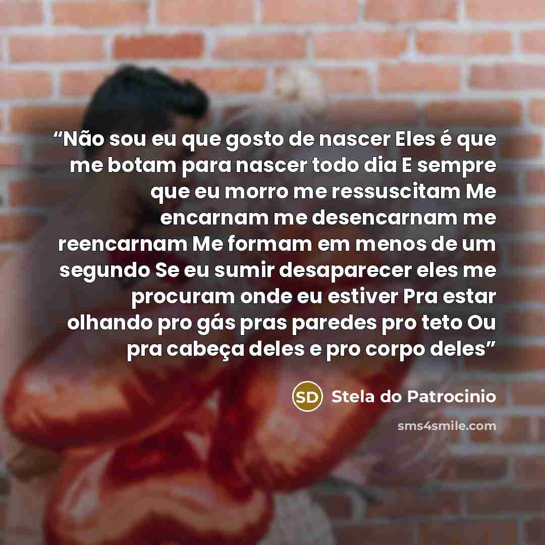 “Não sou eu que gosto de nascer Eles é que me botam para nascer todo dia E sempre que eu morro me ressuscitam Me encarnam me desencarnam me reencarnam Me formam em menos de um segundo Se eu sumir desaparecer eles me procuram onde eu estiver Pra estar olhando pro gás pras paredes pro teto Ou pra…” quote by Stela do Patrocinio