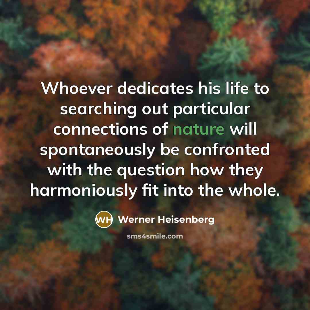 “Whoever dedicates his life to searching out particular connections of…” quote by Werner Heisenberg