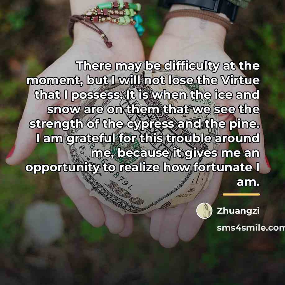 “There may be difficulty at the moment, but I will…” quote by Zhuangzi
