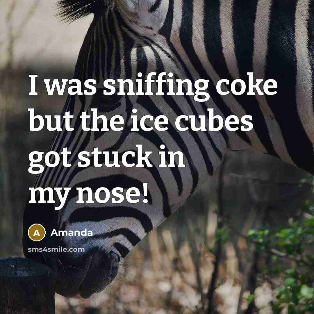 “I was sniffing coke but the ice cubes got stuck…” quote by Amanda