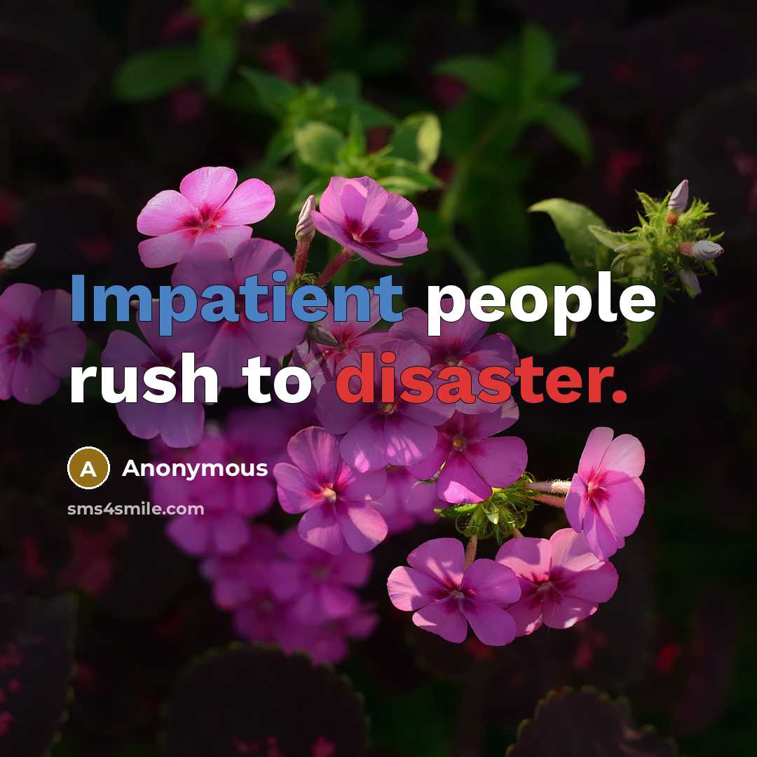 “Impatient people rush to disaster.” quote by Anonymous