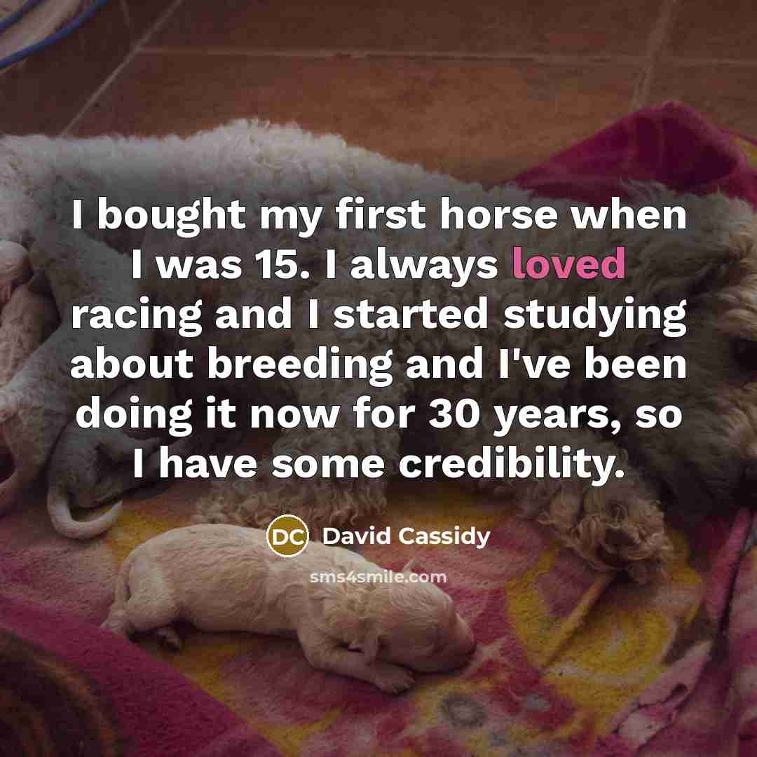 “I bought my first horse when I was 15. I…” quote by David Cassidy