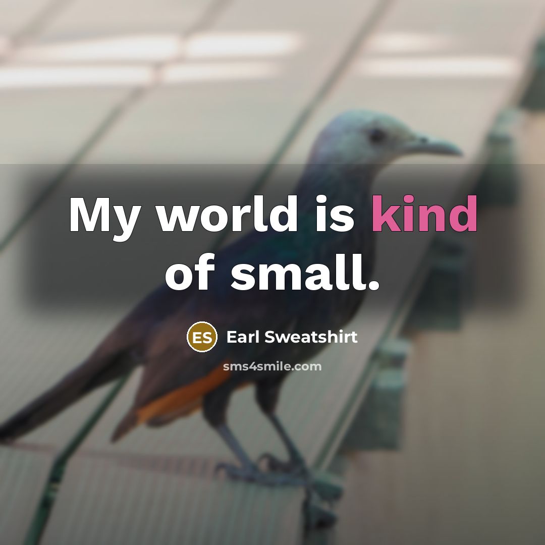 “My world is kind of small.…” quote by Earl Sweatshirt