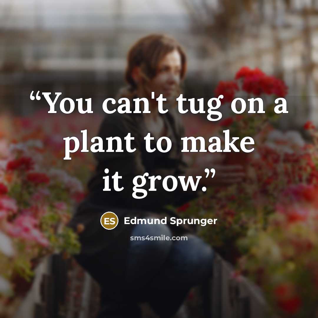 “You can't tug on a plant to make it grow.” quote by Edmund Sprunger
