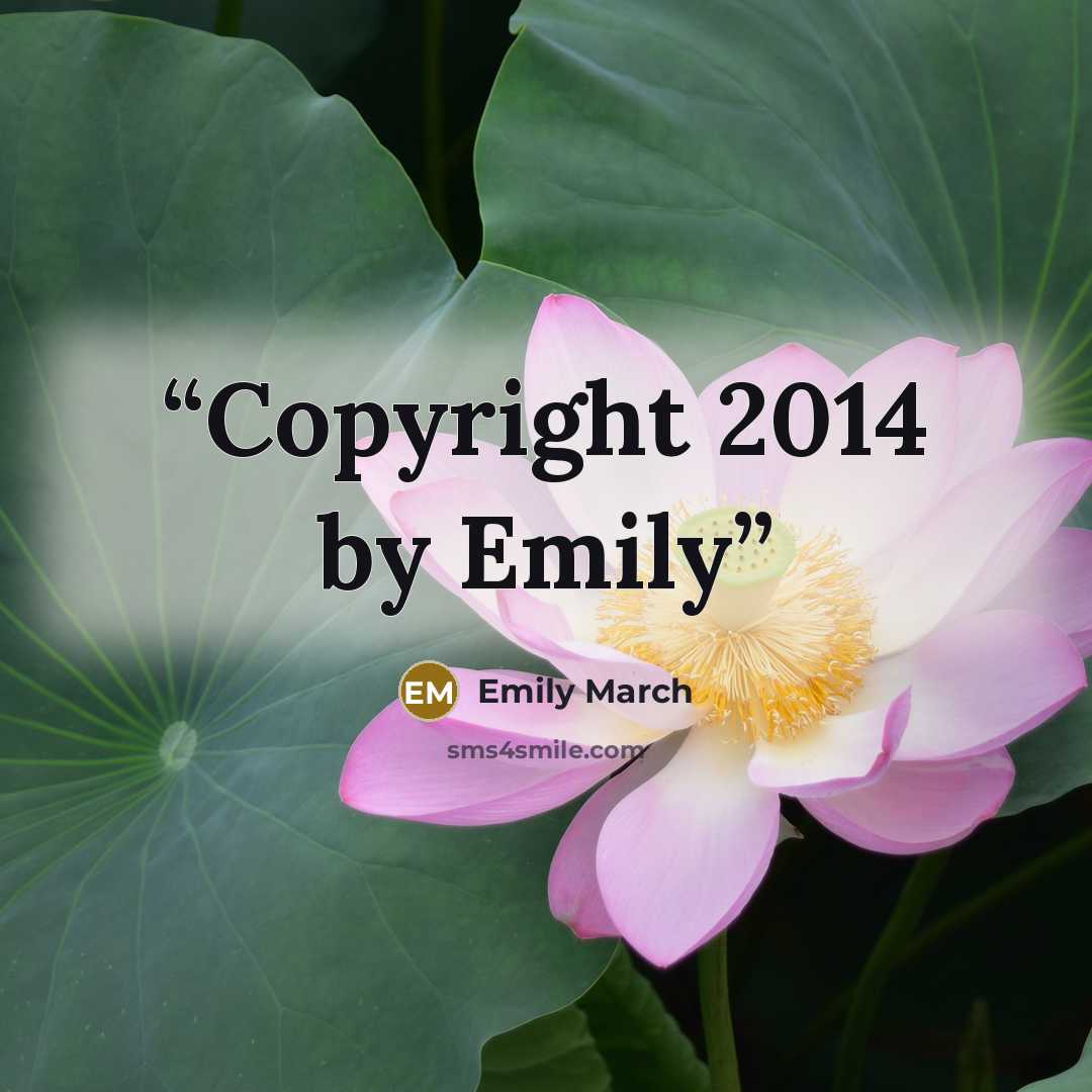 “Copyright 2014 by Emily” quote by Emily March