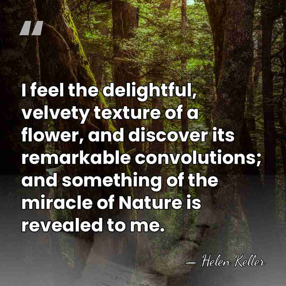 I feel the delightful, velvety texture of a flower, and discover its&hellip; - Helen Keller