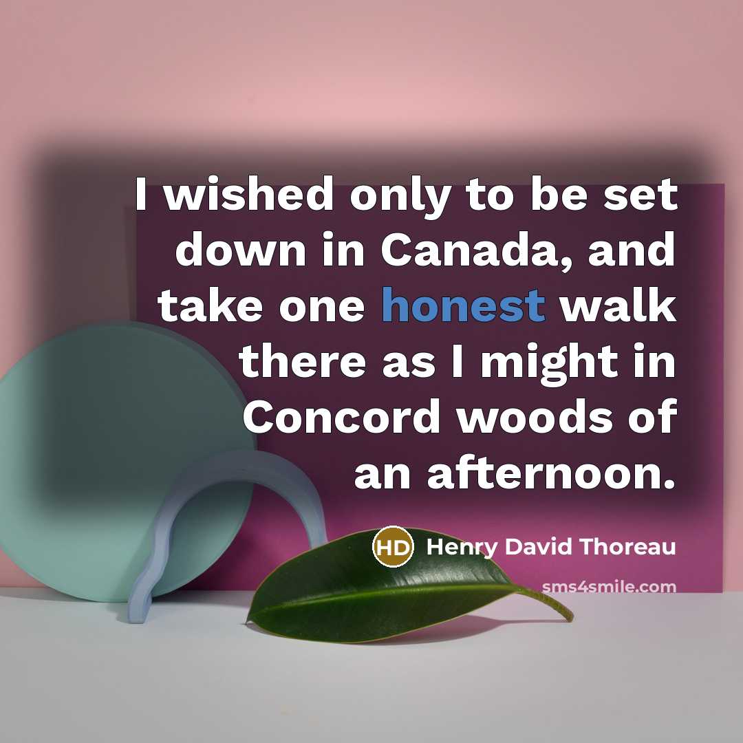 “I wished only to be set down in Canada, and…” quote by Henry David Thoreau