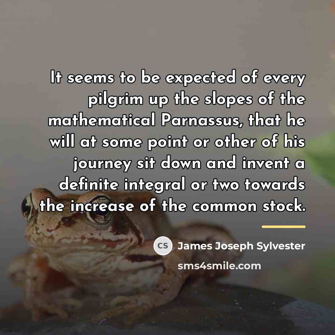 “It seems to be expected of every pilgrim up the…” quote by James Joseph Sylvester