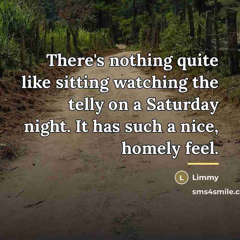 “There's nothing quite like sitting watching the telly on a…” quote by Limmy