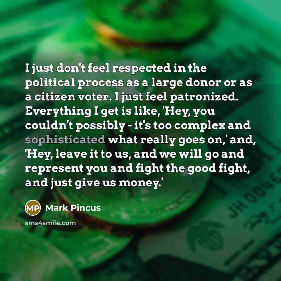 “I just don't feel respected in the political process as…” quote by Mark Pincus