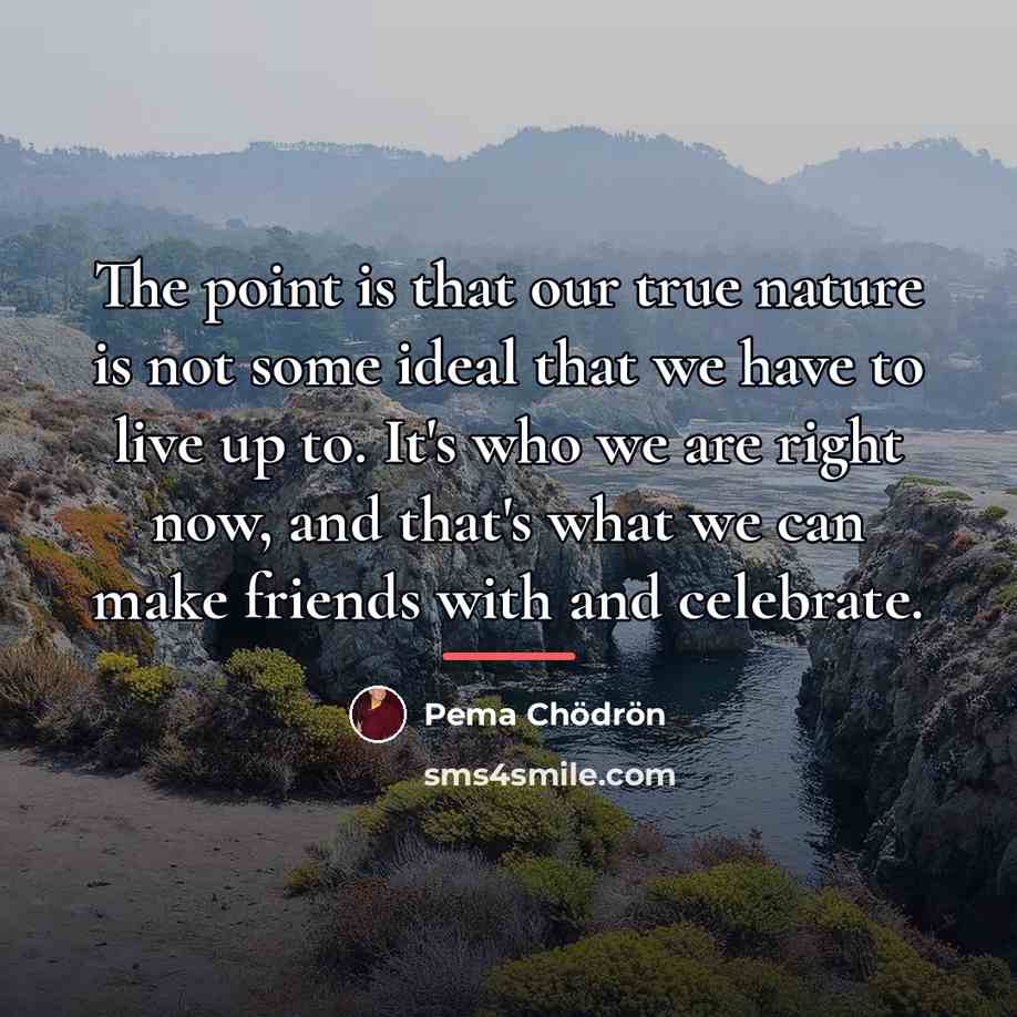 “The point is that our true nature is not some…” quote by Pema Chodron