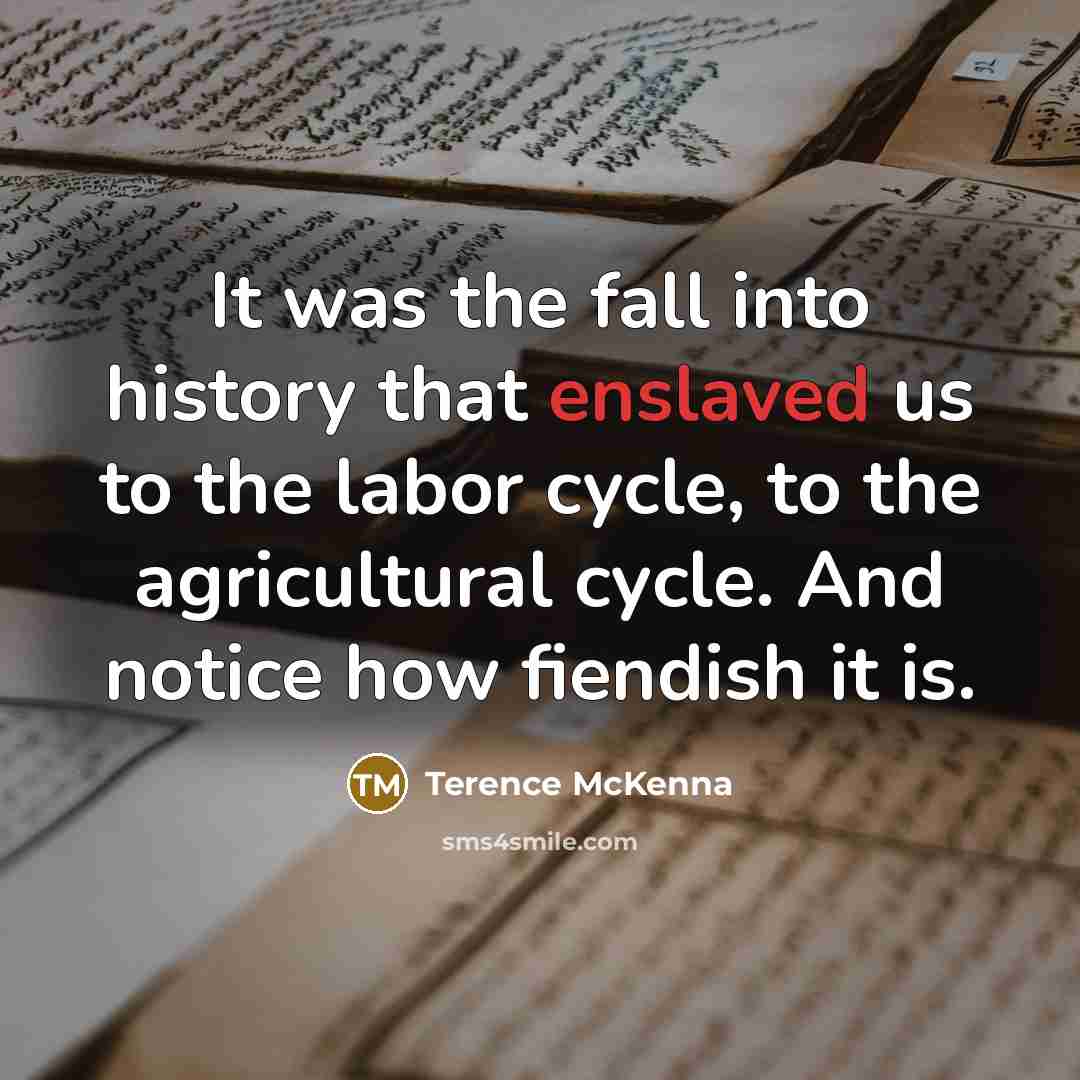 “It was the fall into history that enslaved us to…” quote by Terence McKenna