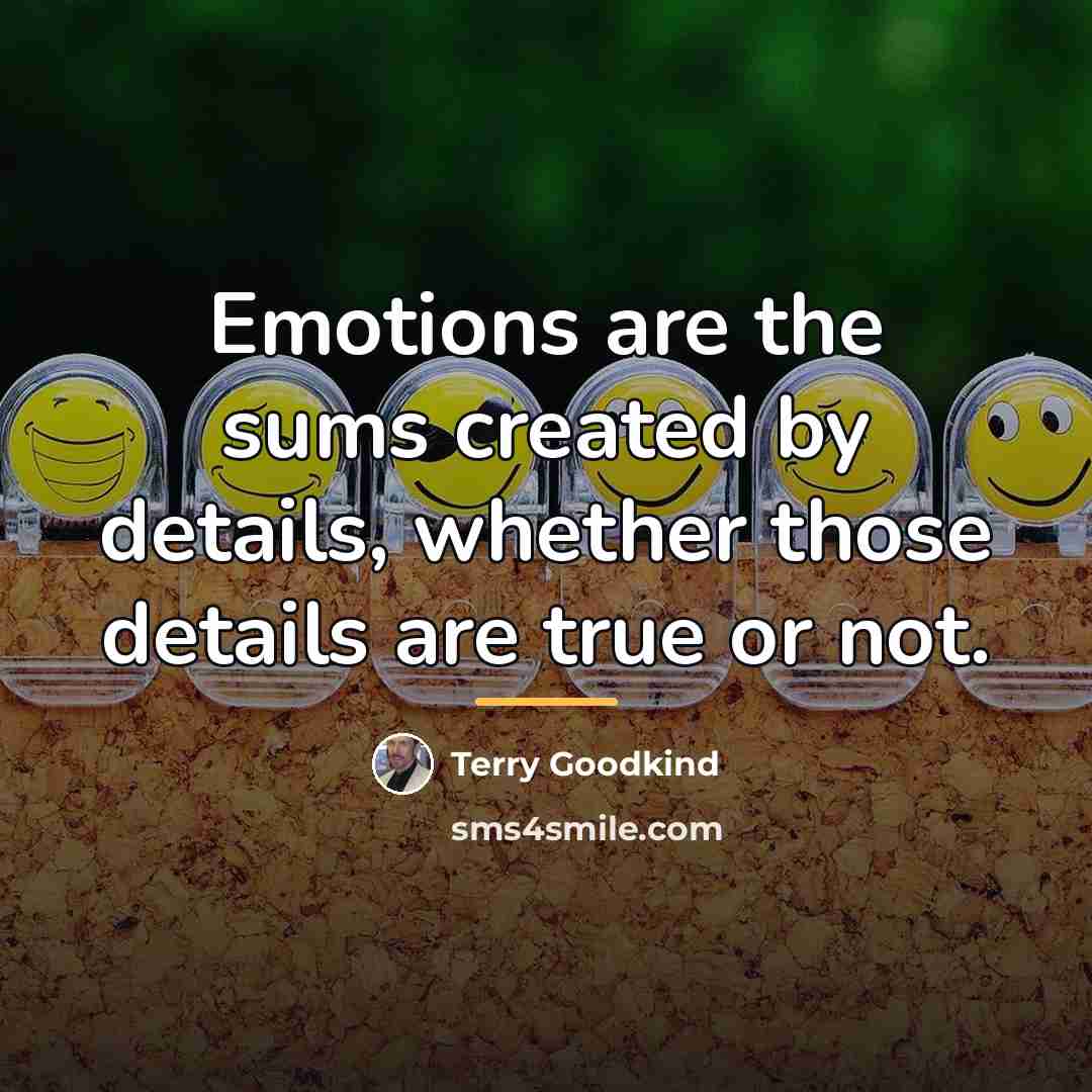 “Emotions are the sums created by details, whether those details…” quote by Terry Goodkind