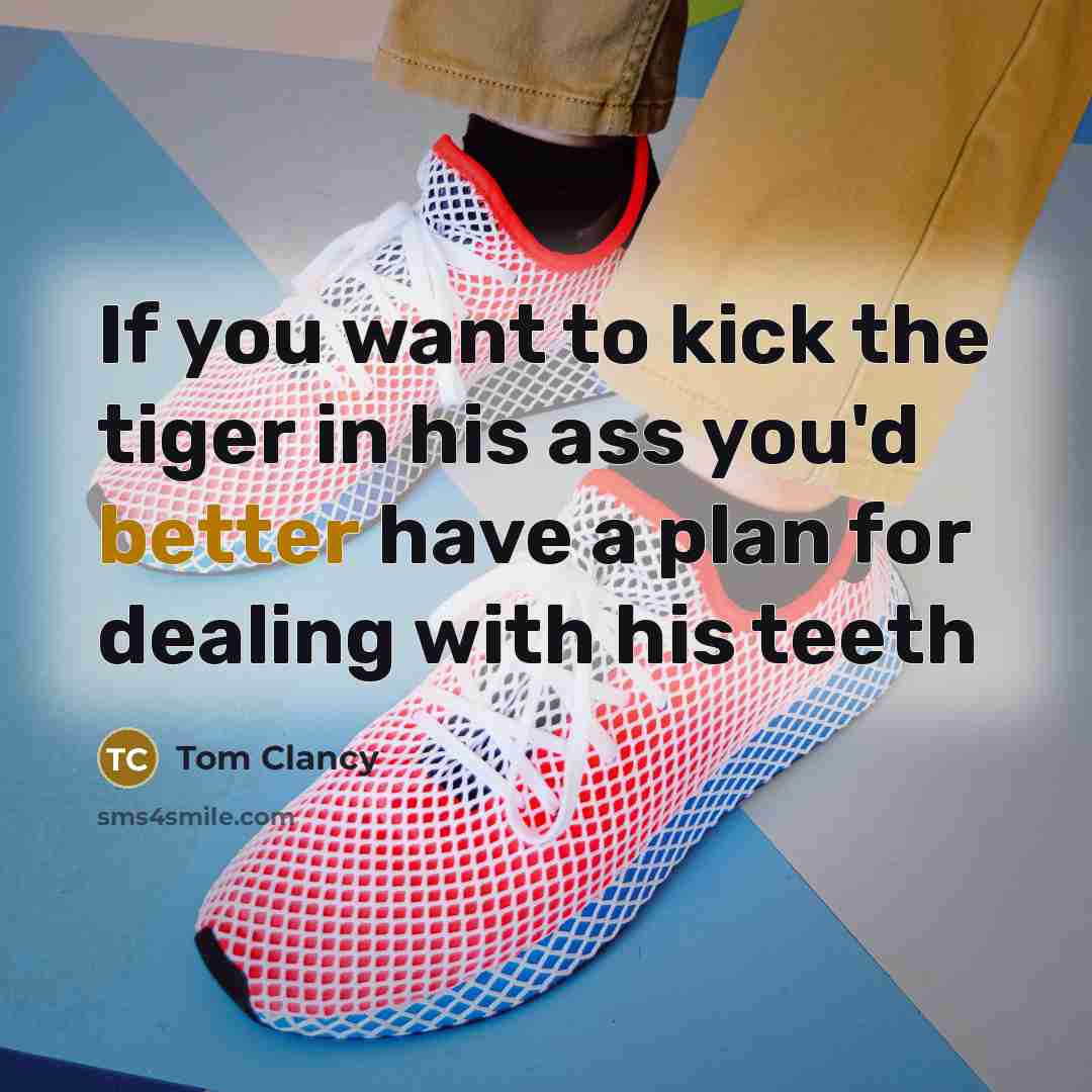 “If you want to kick the tiger in his ass…” quote by Tom Clancy