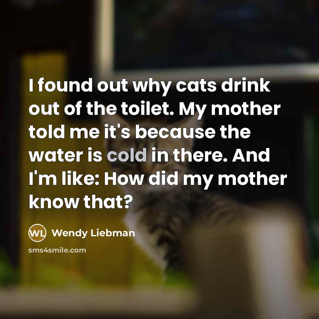 “I found out why cats drink out of the toilet.…” quote by Wendy Liebman