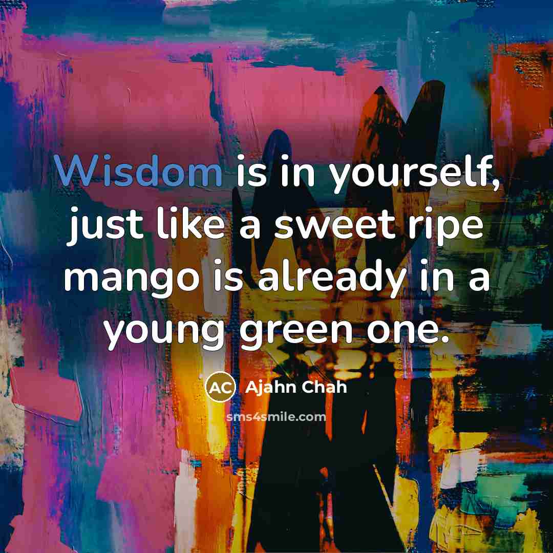 “Wisdom is in yourself, just like a sweet ripe mango…” quote by Ajahn Chah