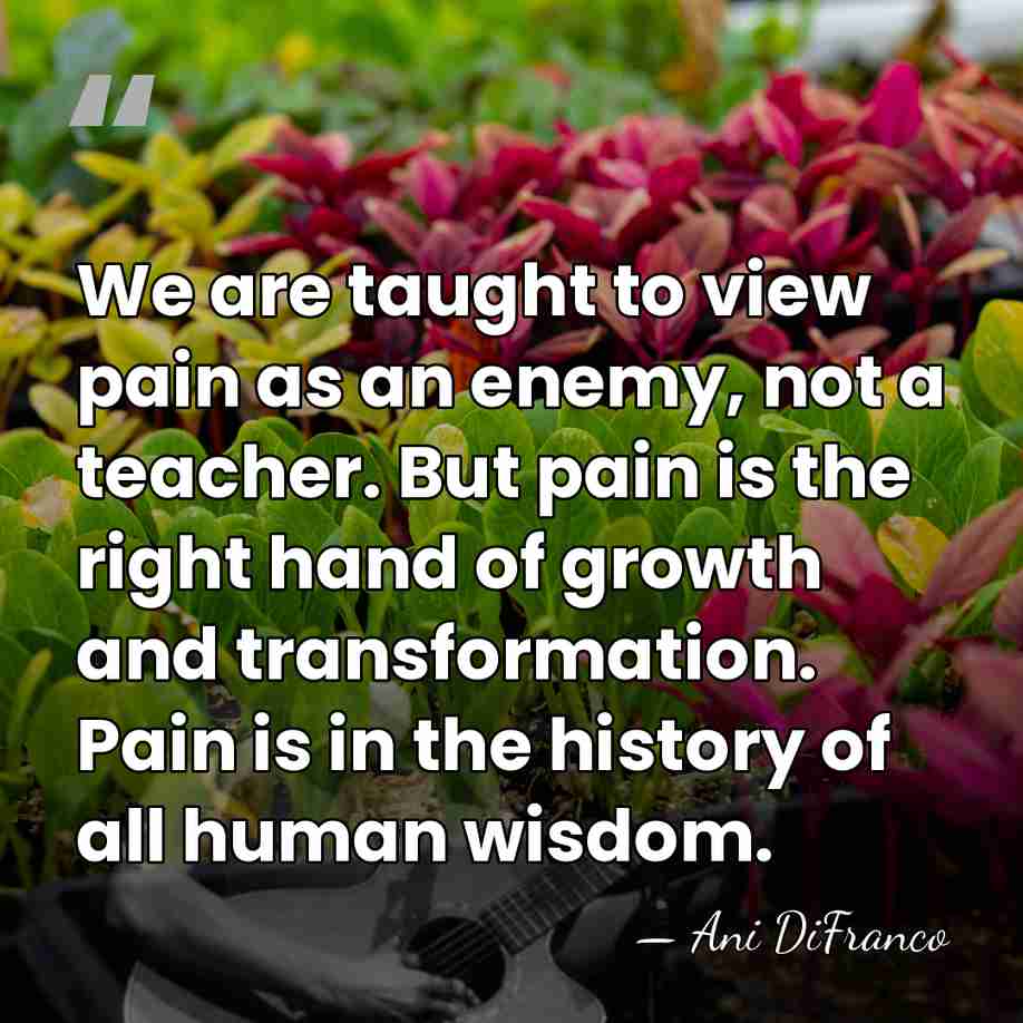 We are taught to view pain as an enemy, not a teacher.&hellip; - Ani DiFranco