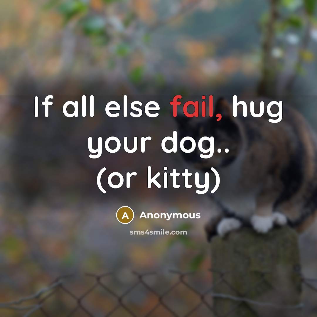 “If all else fail, hug your dog.. (or kitty)” quote by Anonymous