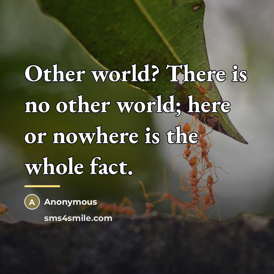 “Other world? There is no other world; here or nowhere…” quote by Anonymous
