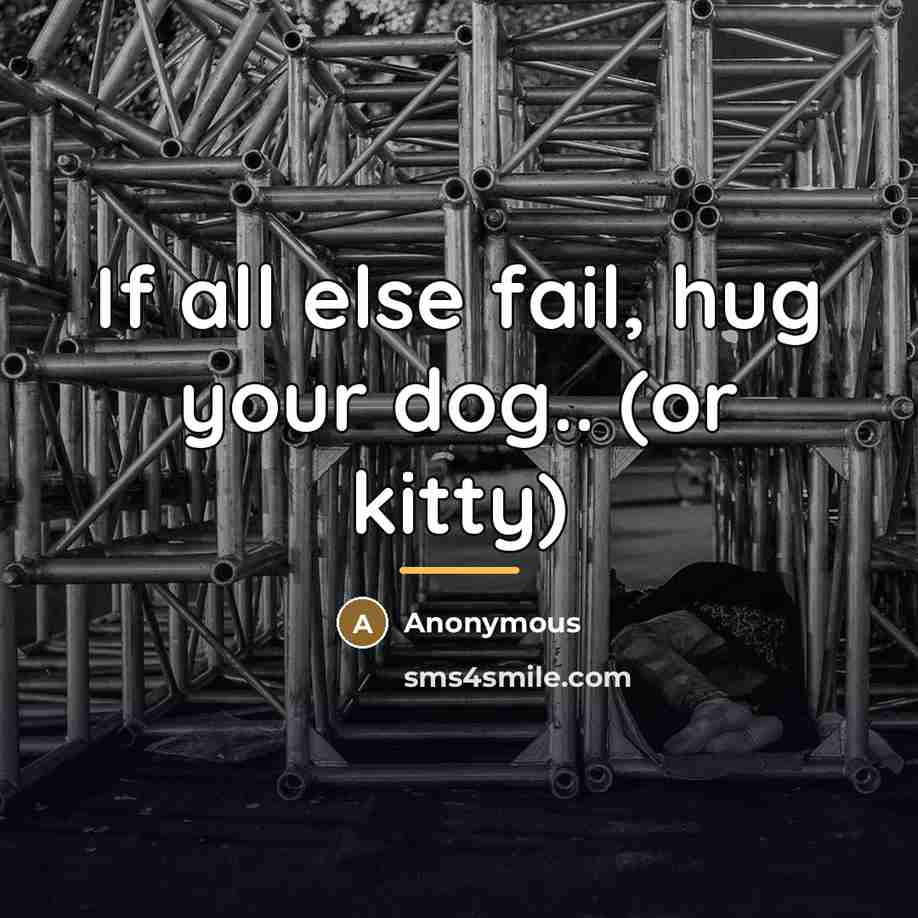 “If all else fail, hug your dog.. (or kitty)…” quote by Anonymous