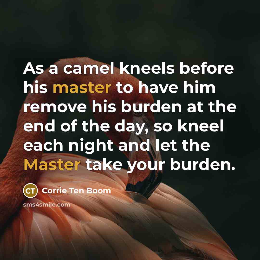 “As a camel kneels before his master to have him remove his burden at the end of the day, so kneel each night and let the Master take your burden.” quote by Corrie Ten Boom