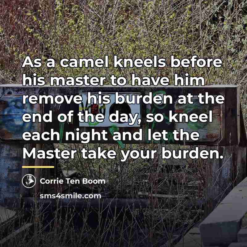 “As a camel kneels before his master to have him…” quote by Corrie Ten Boom
