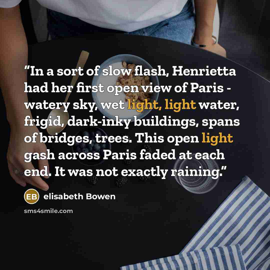 “In a sort of slow flash, Henrietta had her first open view of Paris - watery sky, wet light, light water, frigid, dark-inky buildings, spans of bridges, trees. This open light gash across Paris faded at each end. It was not exactly raining.” quote by elisabeth Bowen