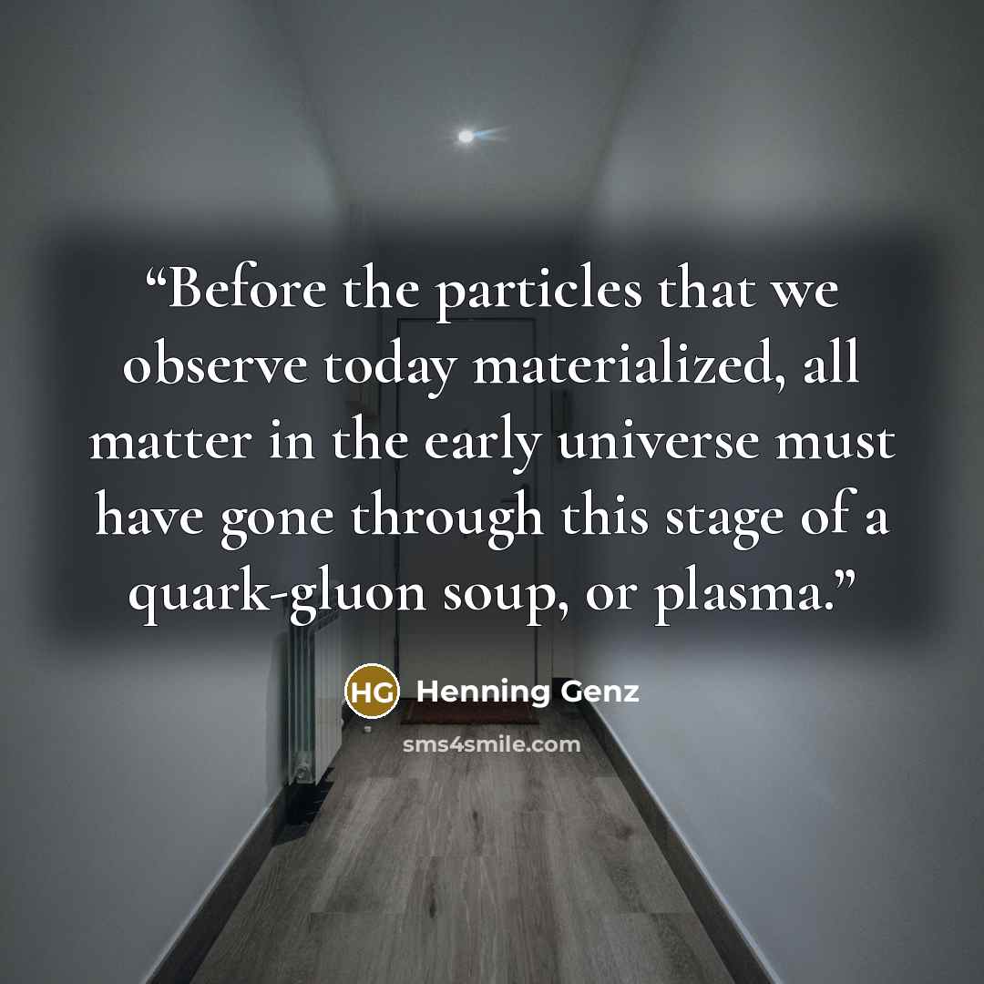 “Before the particles that we observe today materialized, all matter in the early universe must have gone through this stage of a quark-gluon soup, or plasma.” quote by Henning Genz