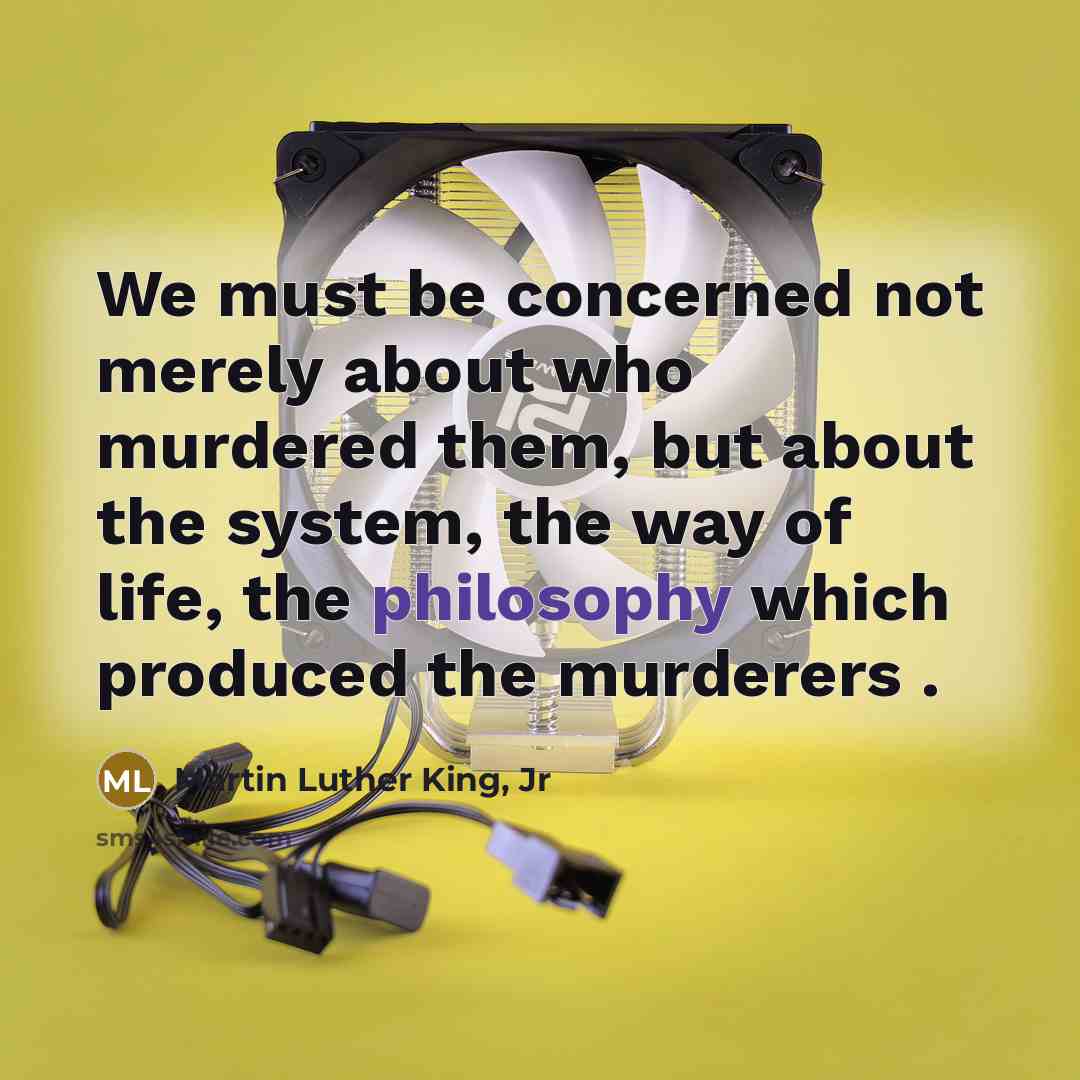 “We must be concerned not merely about who murdered them,…” quote by Martin Luther King, Jr