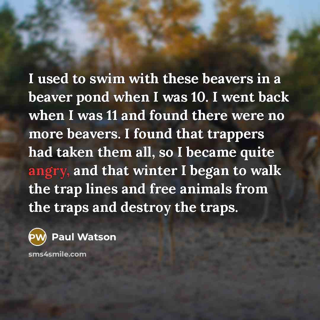 “I used to swim with these beavers in a beaver…” quote by Paul Watson