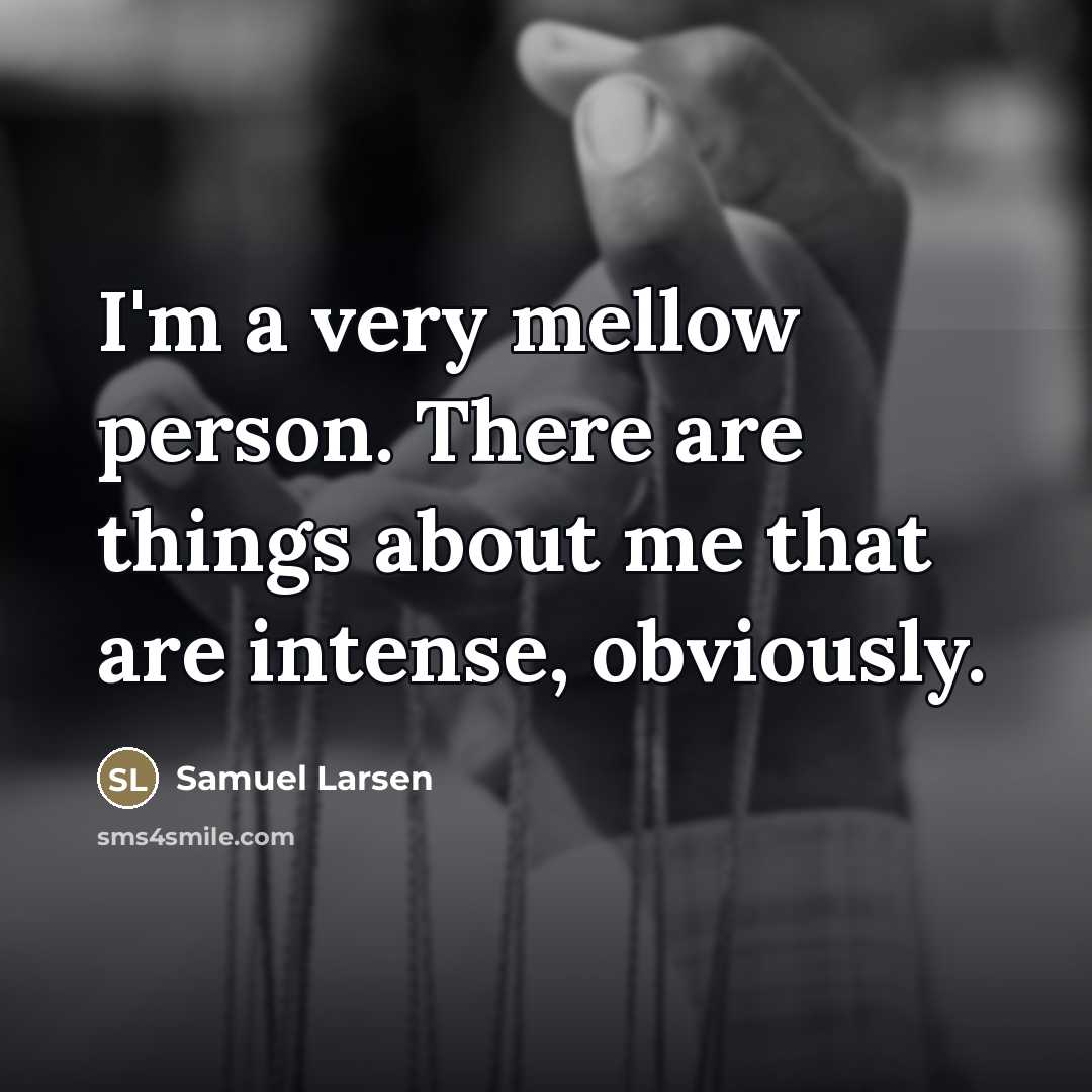 “I'm a very mellow person. There are things about me…” quote by Samuel Larsen