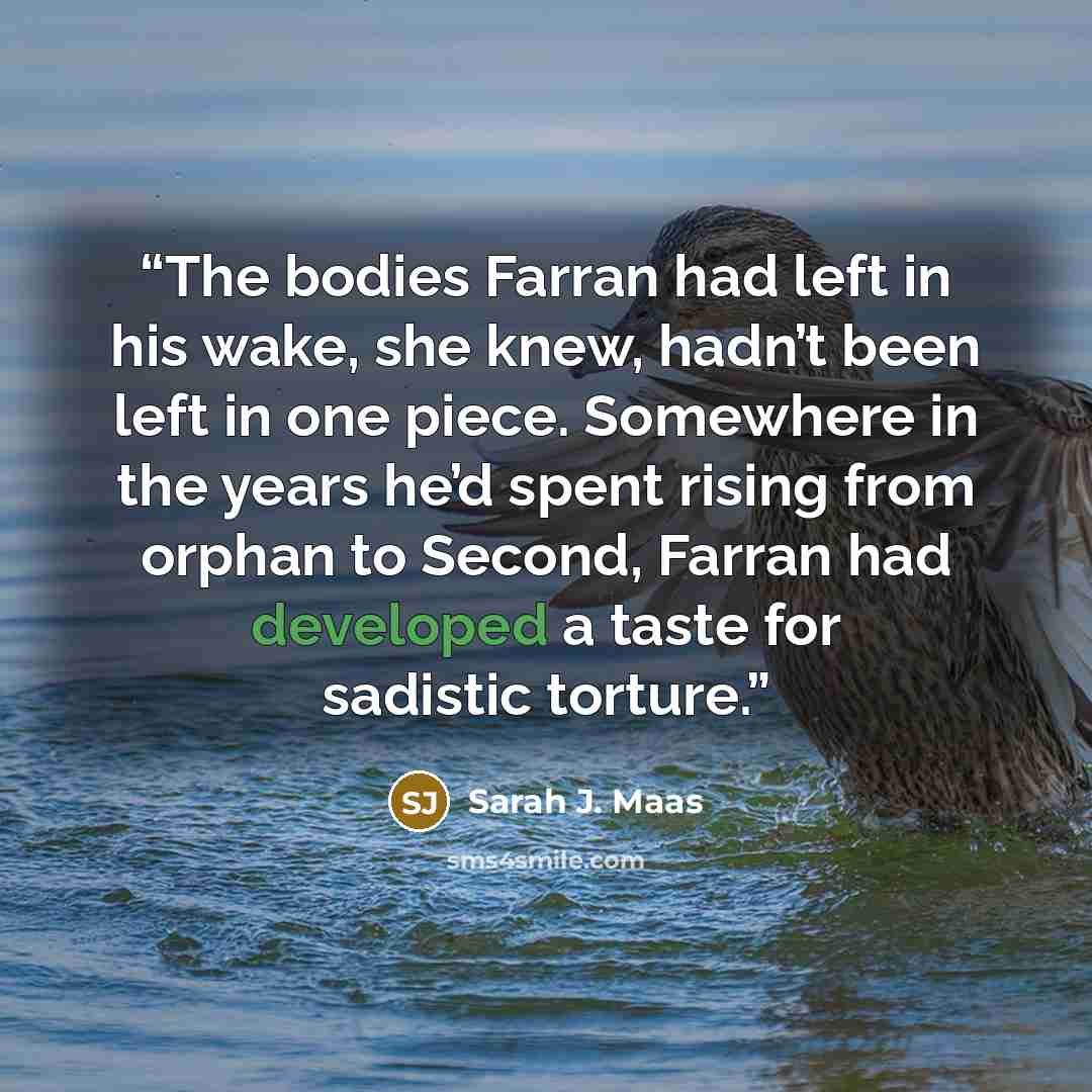 “The bodies Farran had left in his wake, she knew, hadn’t been left in one piece. Somewhere in the years he’d spent rising from orphan to Second, Farran had developed a taste for sadistic torture.” quote by Sarah J. Maas