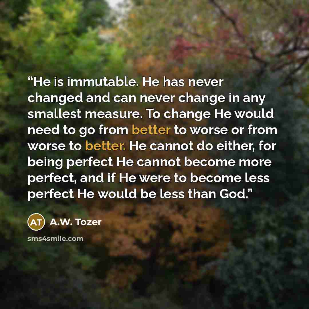 “He is immutable. He has never changed and can never change in any smallest measure. To change He would need to go from better to worse or from worse to better. He cannot do either, for being perfect He cannot become more perfect, and if He were to become less perfect He would be less than God.” quote by A.W. Tozer