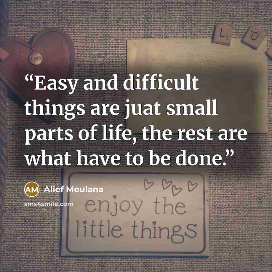 “Easy and difficult things are juat small parts of life, the rest are what have to be done.” quote by Alief Moulana