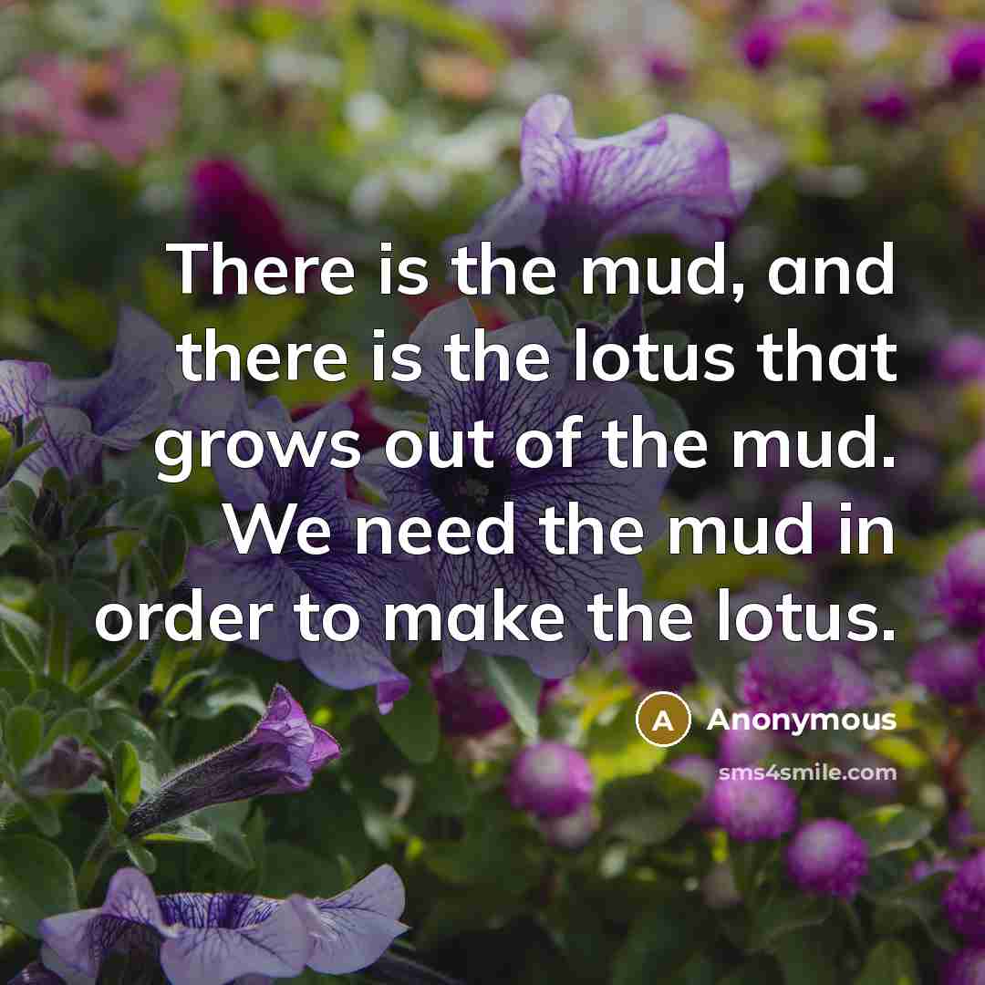 “There is the mud, and there is the lotus that…” quote by Anonymous