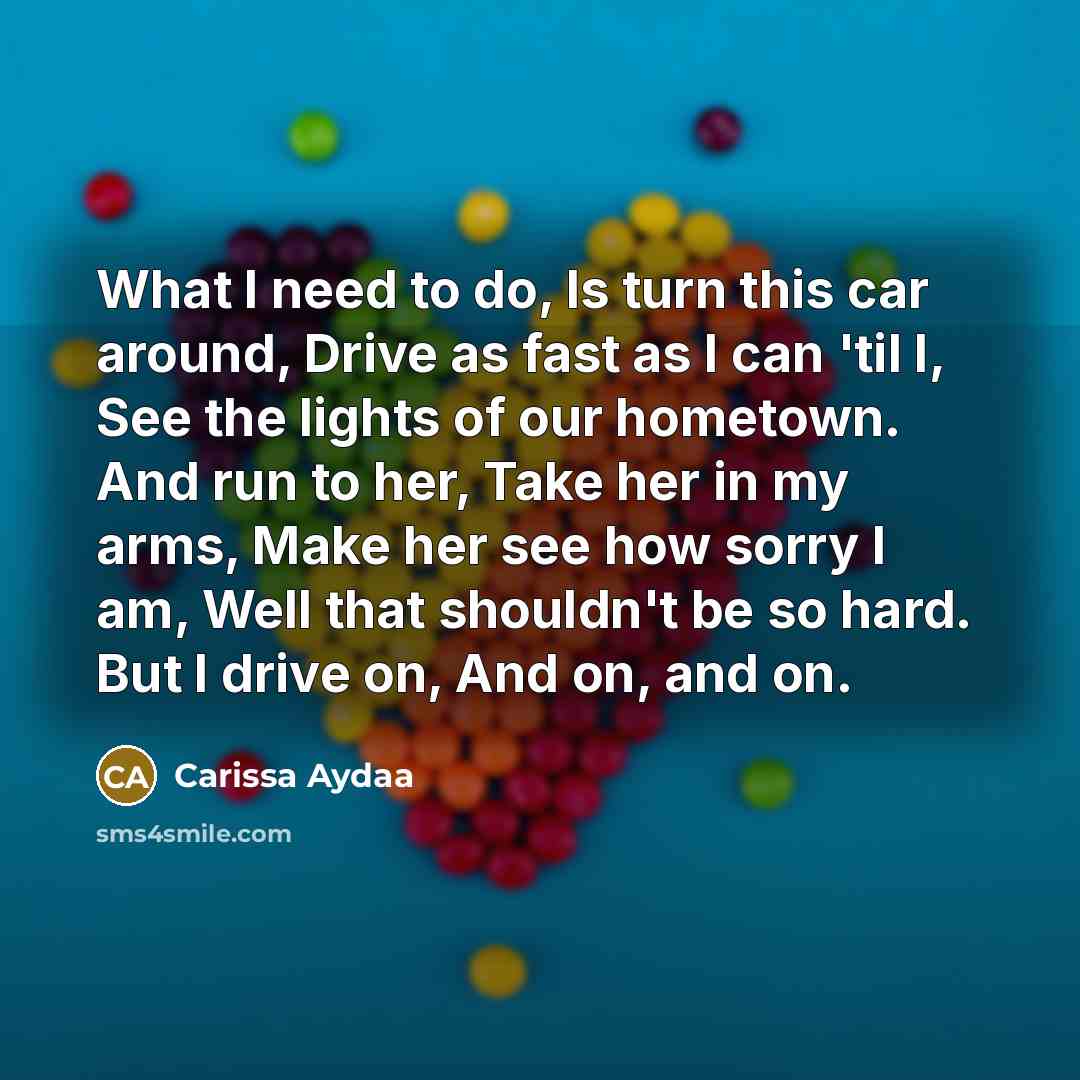 “What I need to do, Is turn this car around,…” quote by Carissa Aydaa