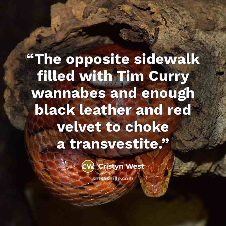 “The opposite sidewalk filled with Tim Curry wannabes and enough black leather and red velvet to choke a transvestite.” quote by Cristyn West