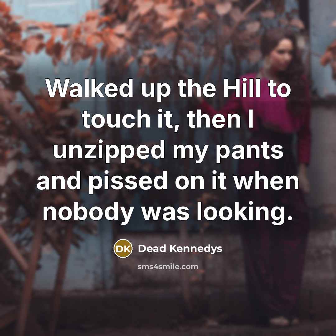 “Walked up the Hill to touch it, then I unzipped my pants and pissed on it when nobody was looking.” quote by Dead Kennedys