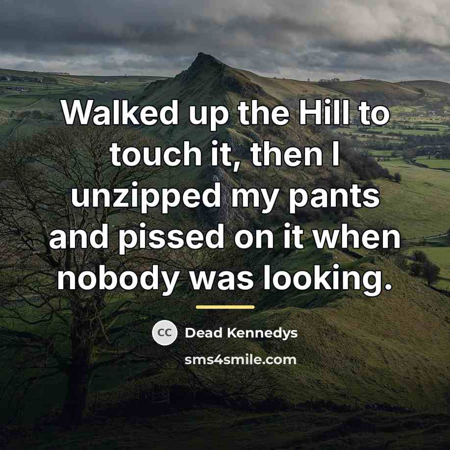 “Walked up the Hill to touch it, then I unzipped…” quote by Dead Kennedys