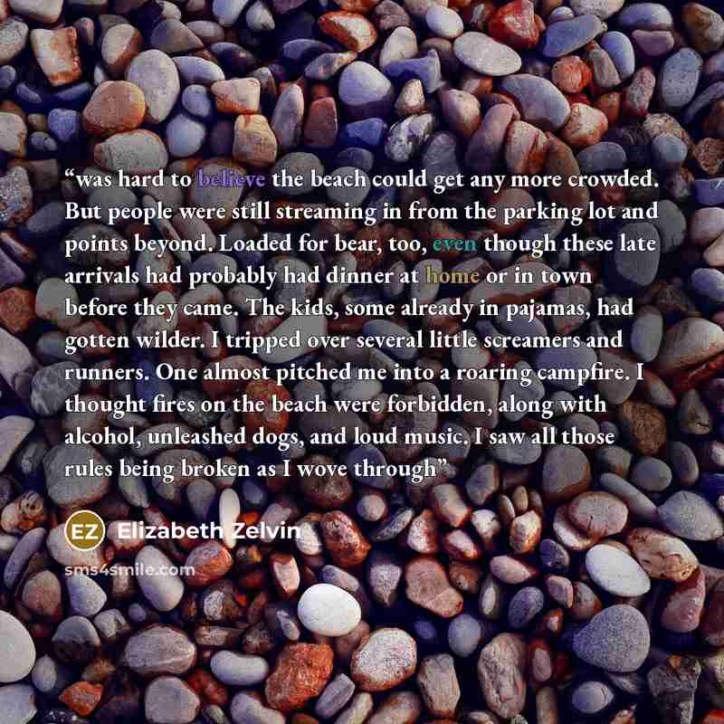 “was hard to believe the beach could get any more crowded. But people were still streaming in from the parking lot and points beyond. Loaded for bear, too, even though these late arrivals had probably had dinner at home or in town before they came. The kids, some already in pajamas, had gotten…” quote by Elizabeth Zelvin