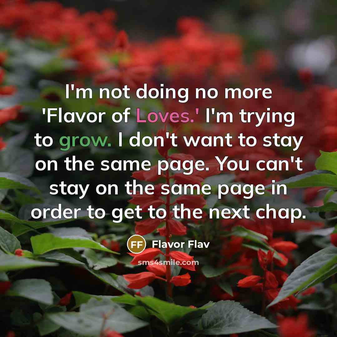 “I'm not doing no more 'Flavor of Loves.' I'm trying…” quote by Flavor Flav